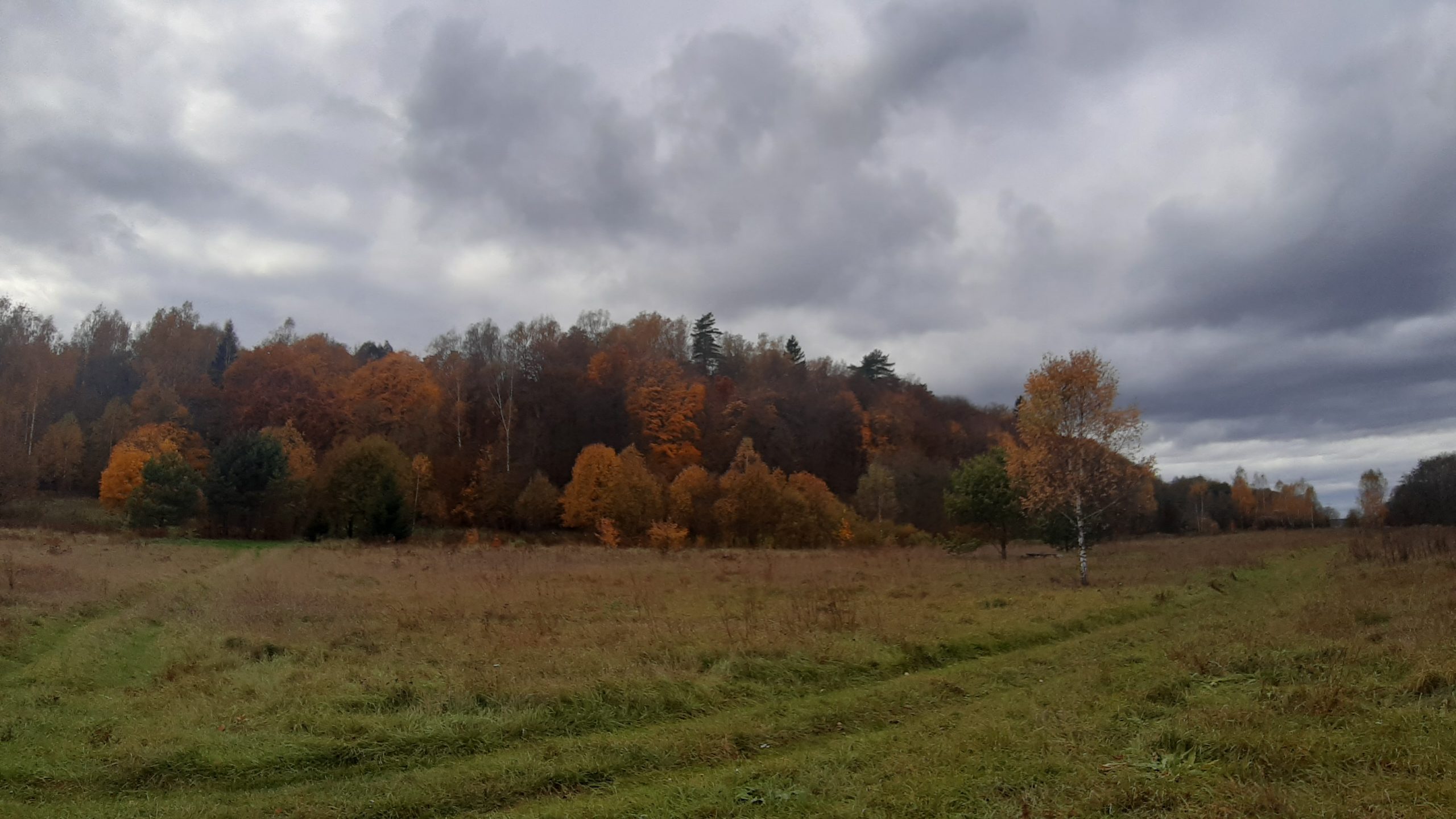 Фото поле лес осень Дом для Проживания - Аренда на берегу реки Угра с Баней