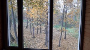 Фото вид из окна осень Дом для Проживания - Аренда на берегу реки Угра с Баней