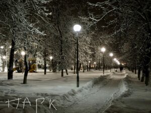 Фото парк Товарково вечер зима