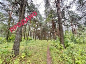 Рядом с Бором однокомнатная квартира продажа Товарково