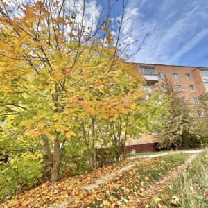 Продам 2 комнатную квартиру в поселке Товарково Туркестанская, дом 8, Дзержинский район, Калужская область