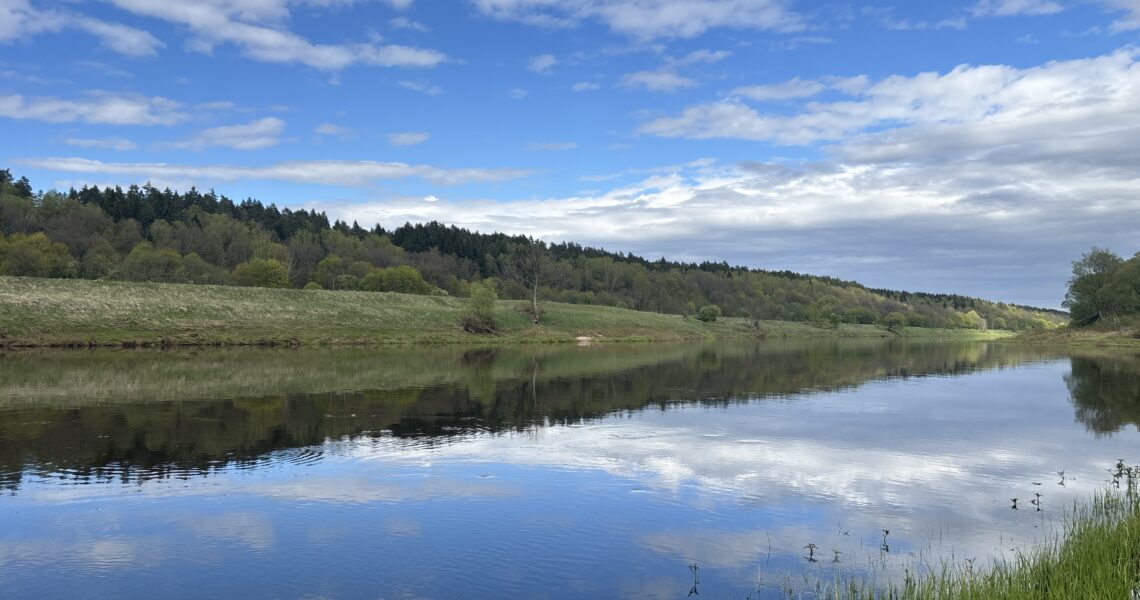 Предложение Купить земельный участок у реки Угра, леса в Калужской области река Угра фото летнее