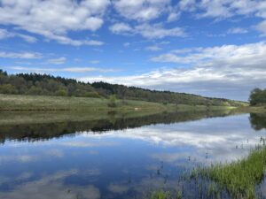 река Угра фото летнее