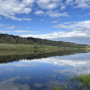 Предложение Купить земельный участок у реки Угра, леса в Калужской области река Угра фото летнее