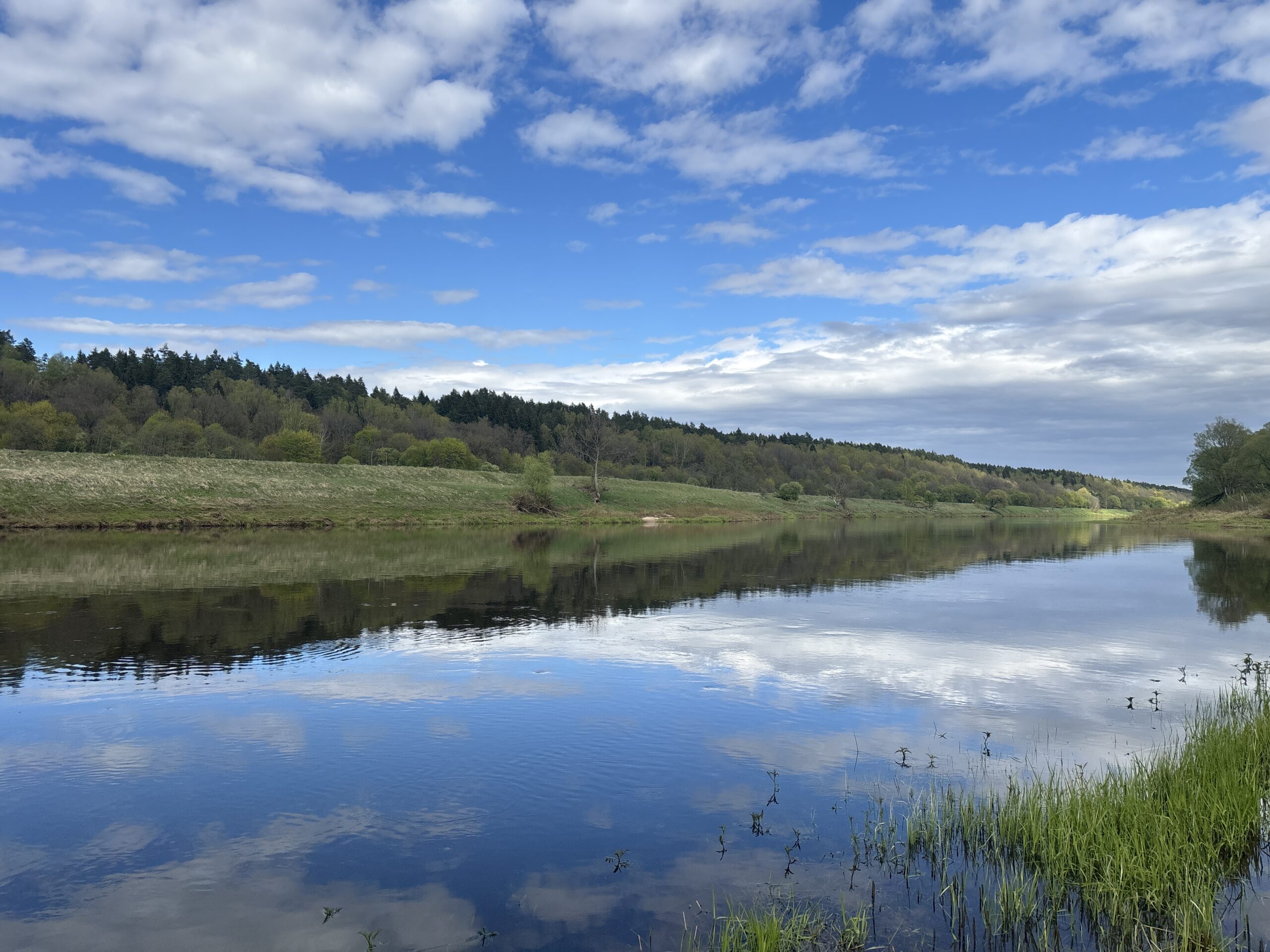 река Угра фото летнее
