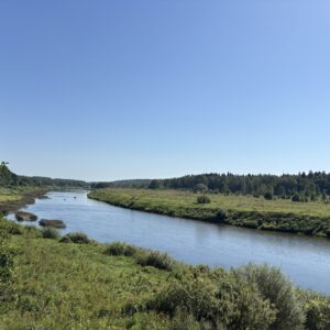 Купить участок у реки Угра +Газ в Калужской области Деревня Дзержинка